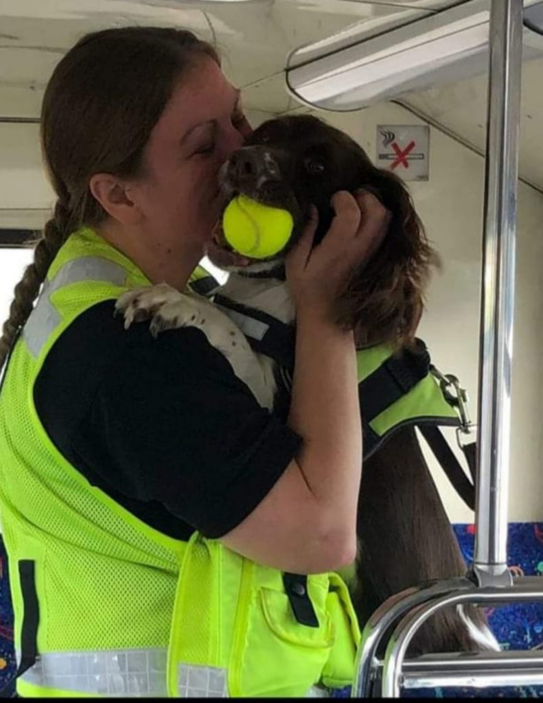 Search Dog Arya