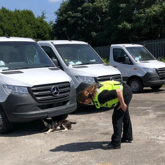 Proactive vehicle search