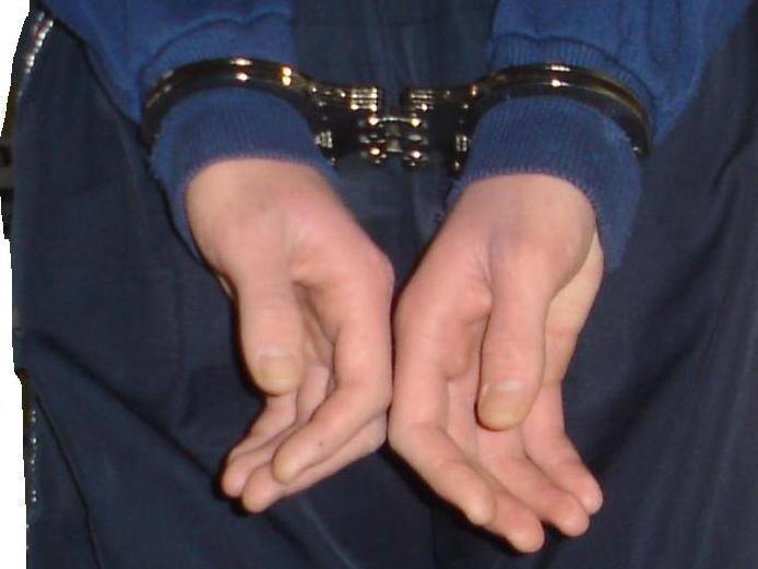 Hinged Handcuffs Rear Back To Back