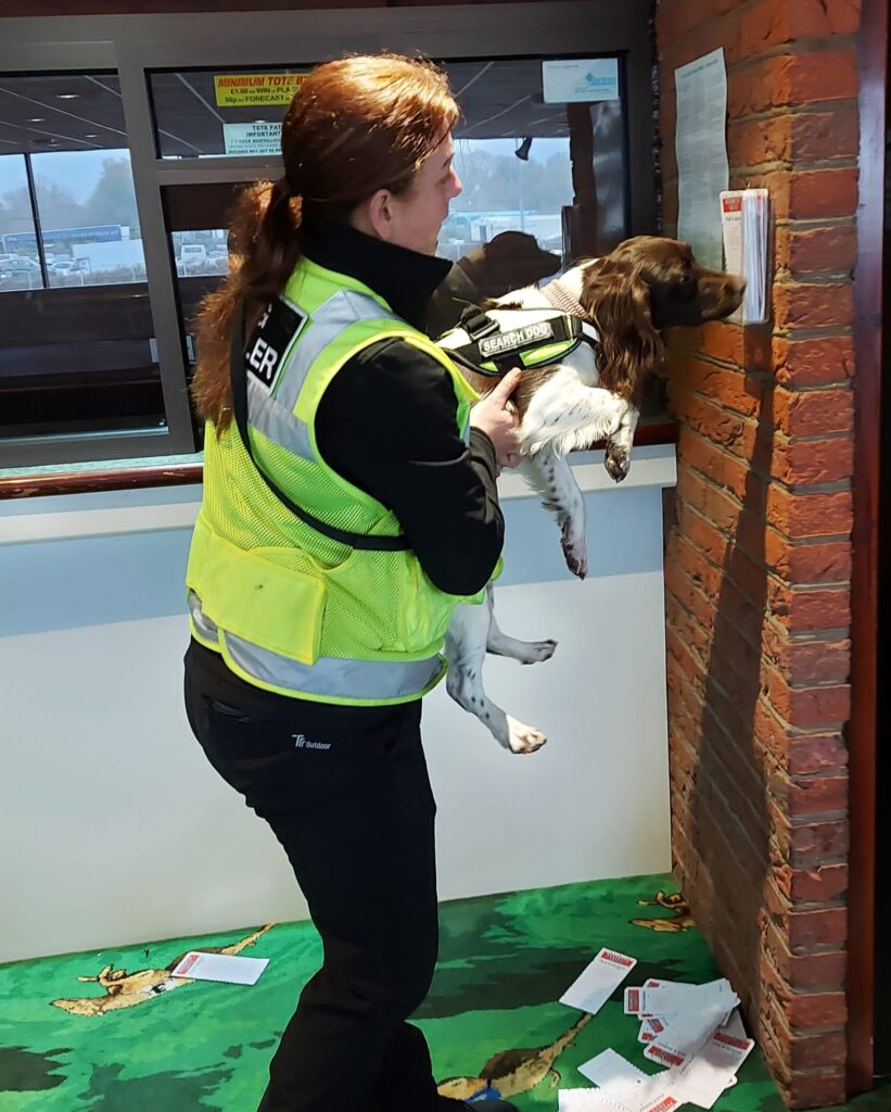 IMG 20221129 WA0016 1