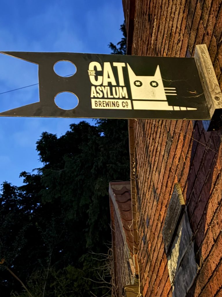 Cat Asylym Brewery Collingham Beer Festival