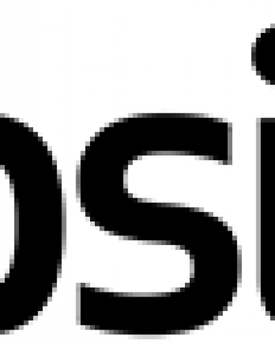 Security BSI Logo